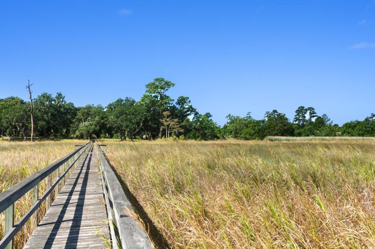 Lot 5 Whitehall Ave. Photo 8