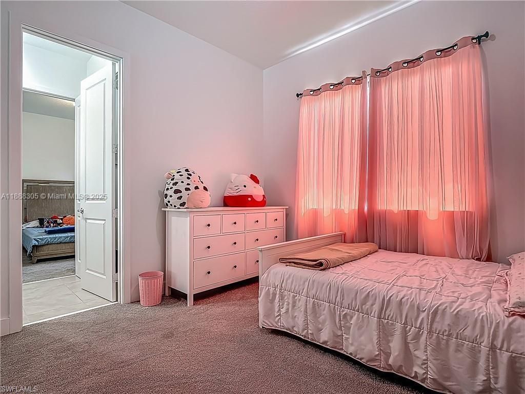 5285 Marano Dr, Ave Maria, FL 34142 Photo