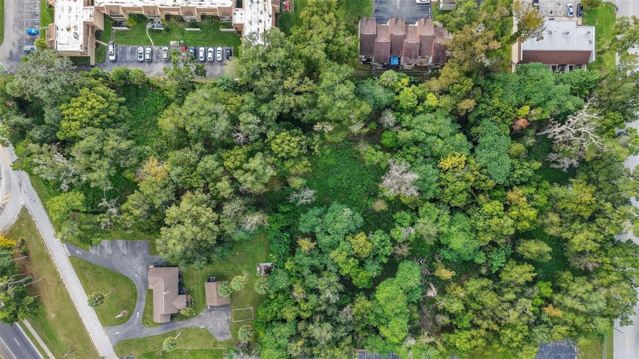 2917 NE 3rd Street, Ocala, FL 34470 Photo