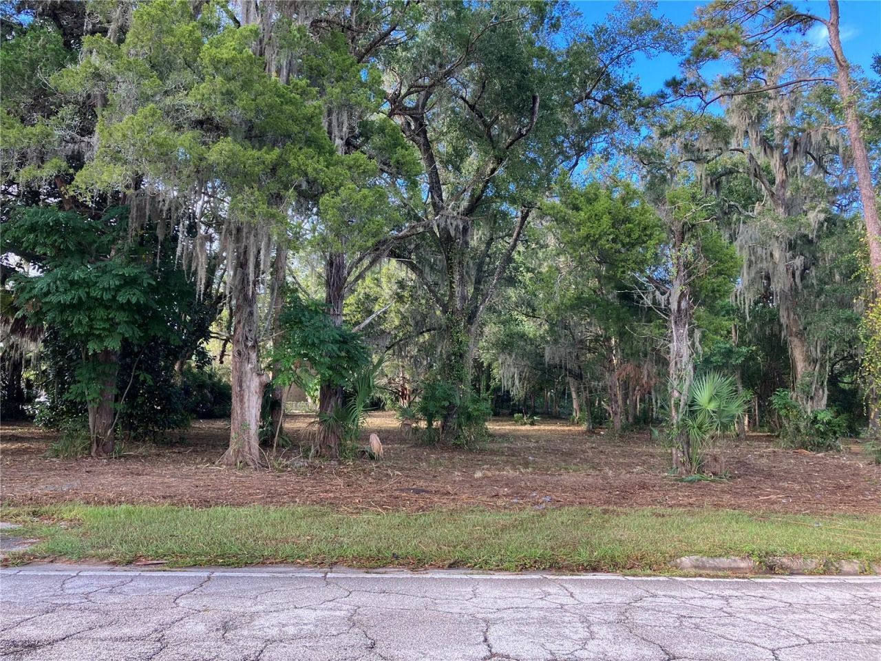 2917 NE 3rd Street, Ocala, FL 34470 Photo