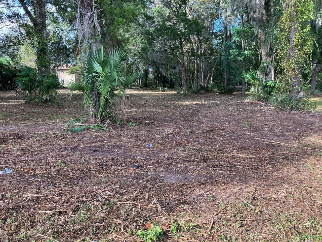 2917 NE 3rd Street, Ocala, FL 34470 Photo