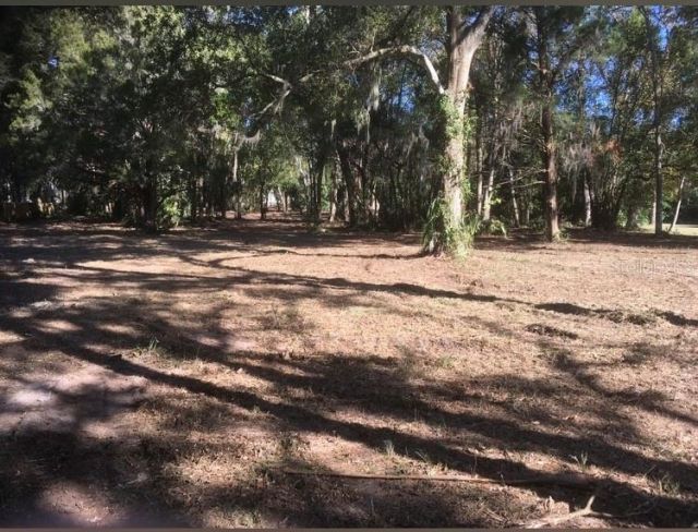 2917 NE 3rd Street, Ocala, FL 34470 Photo