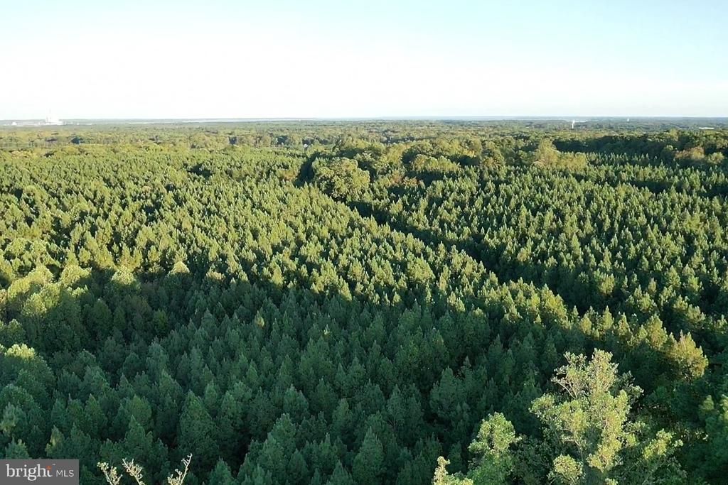 Mathias Point Rd, King George, VA 22485 Main Photo