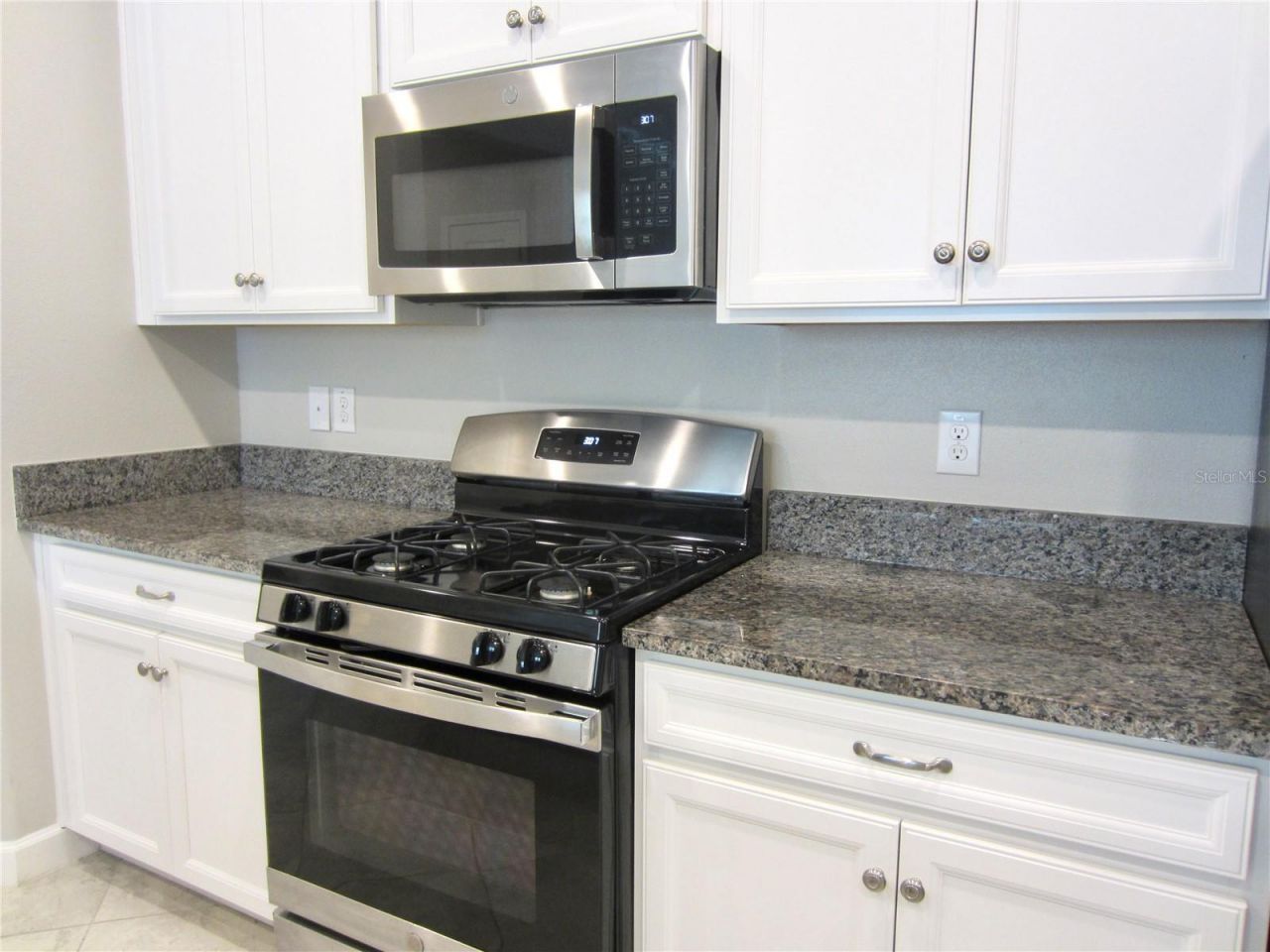 24815 Lambrusco Loop, Lutz, FL 33559 Photo