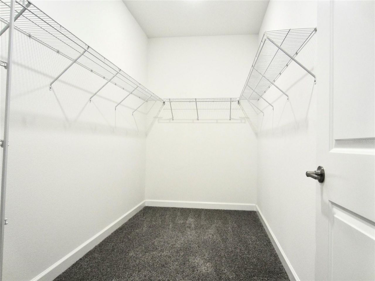 24815 Lambrusco Loop, Lutz, FL 33559 Photo