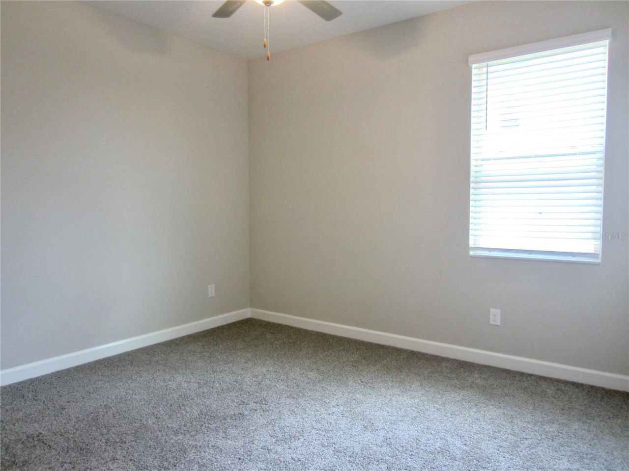 24815 Lambrusco Loop, Lutz, FL 33559 Photo