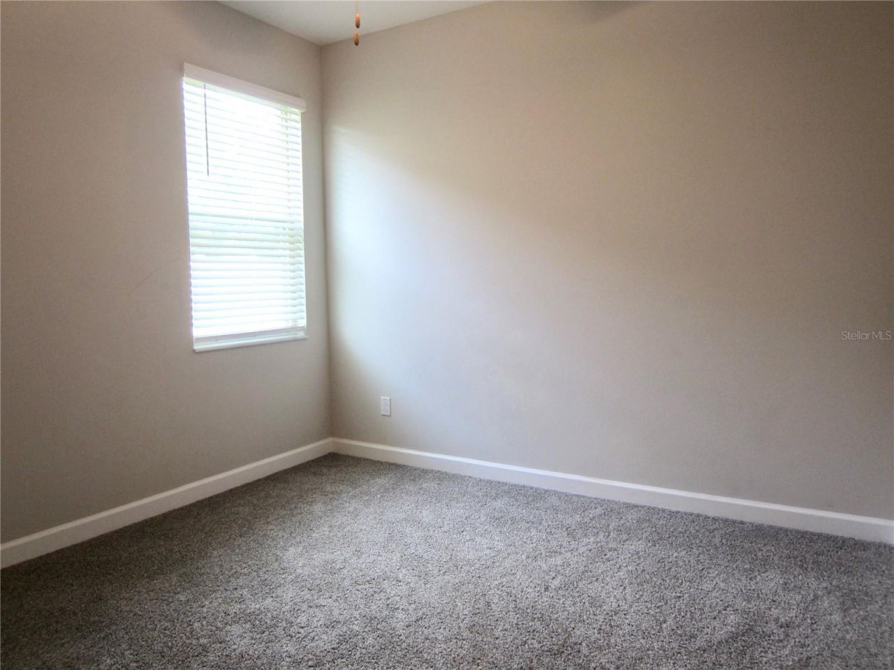 24815 Lambrusco Loop, Lutz, FL 33559 Photo