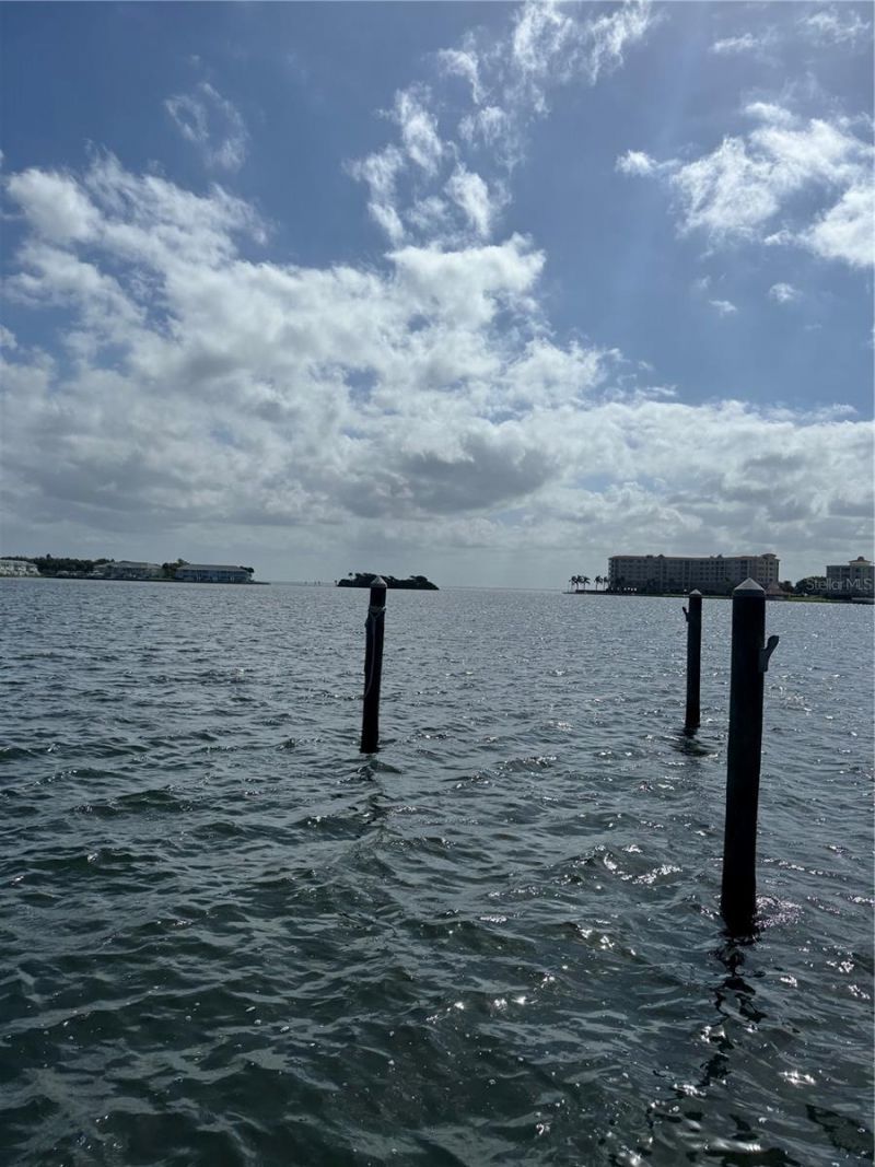 24 Mangrove Point, Saint Petersburg, FL 33705 Photo