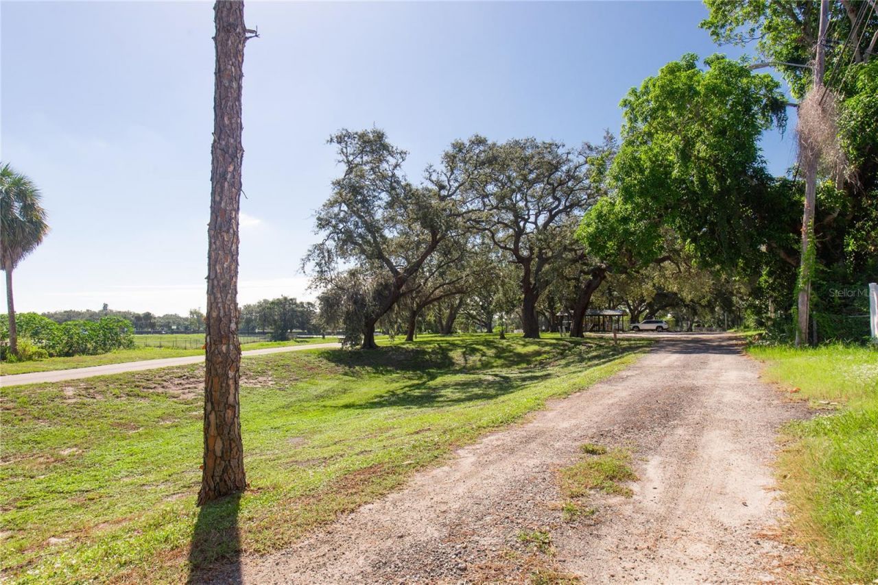 2010 42nd Street S, Saint Petersburg, FL 33711 Photo