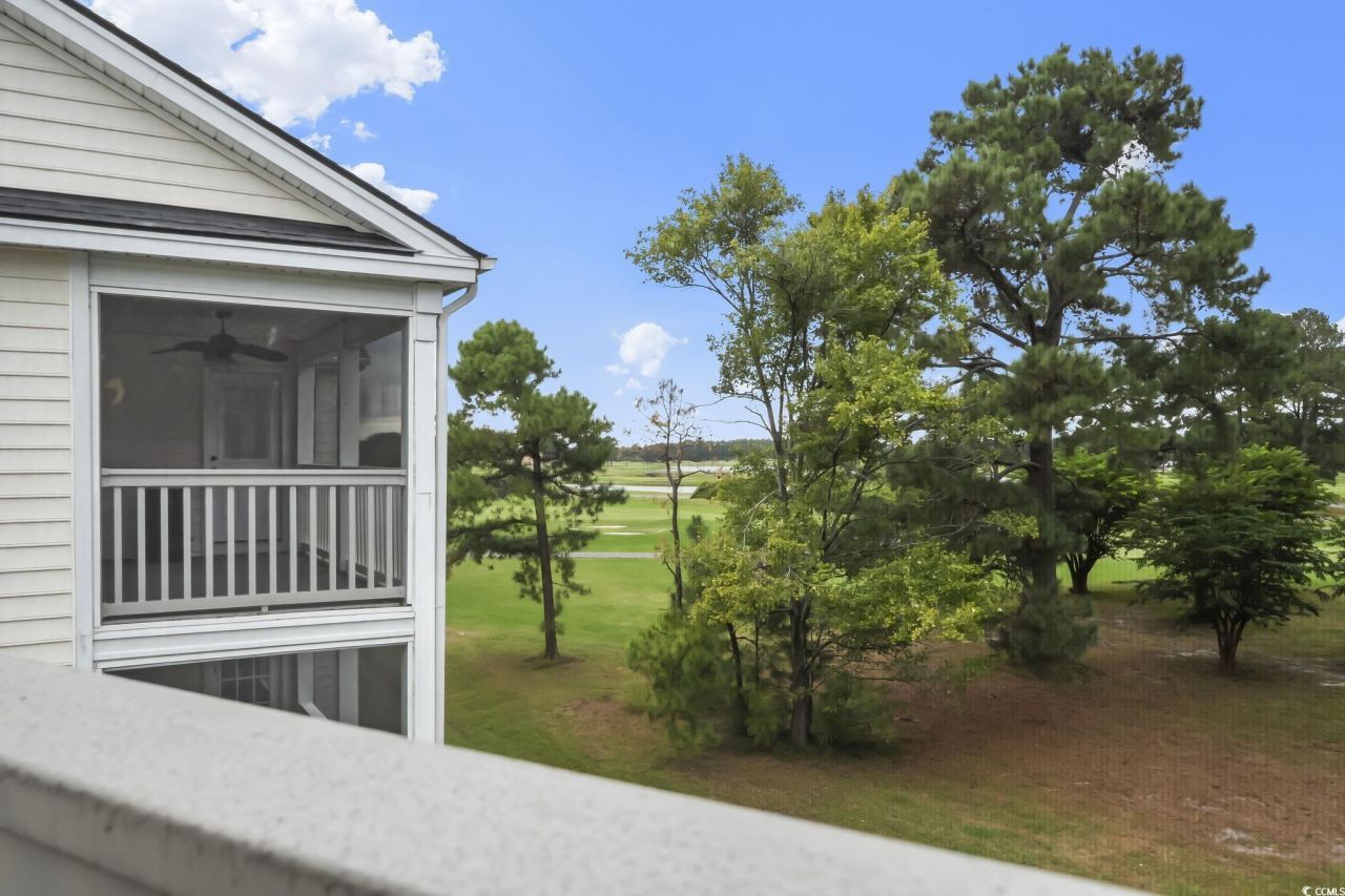 4930 Windsor Green Way Photo 34