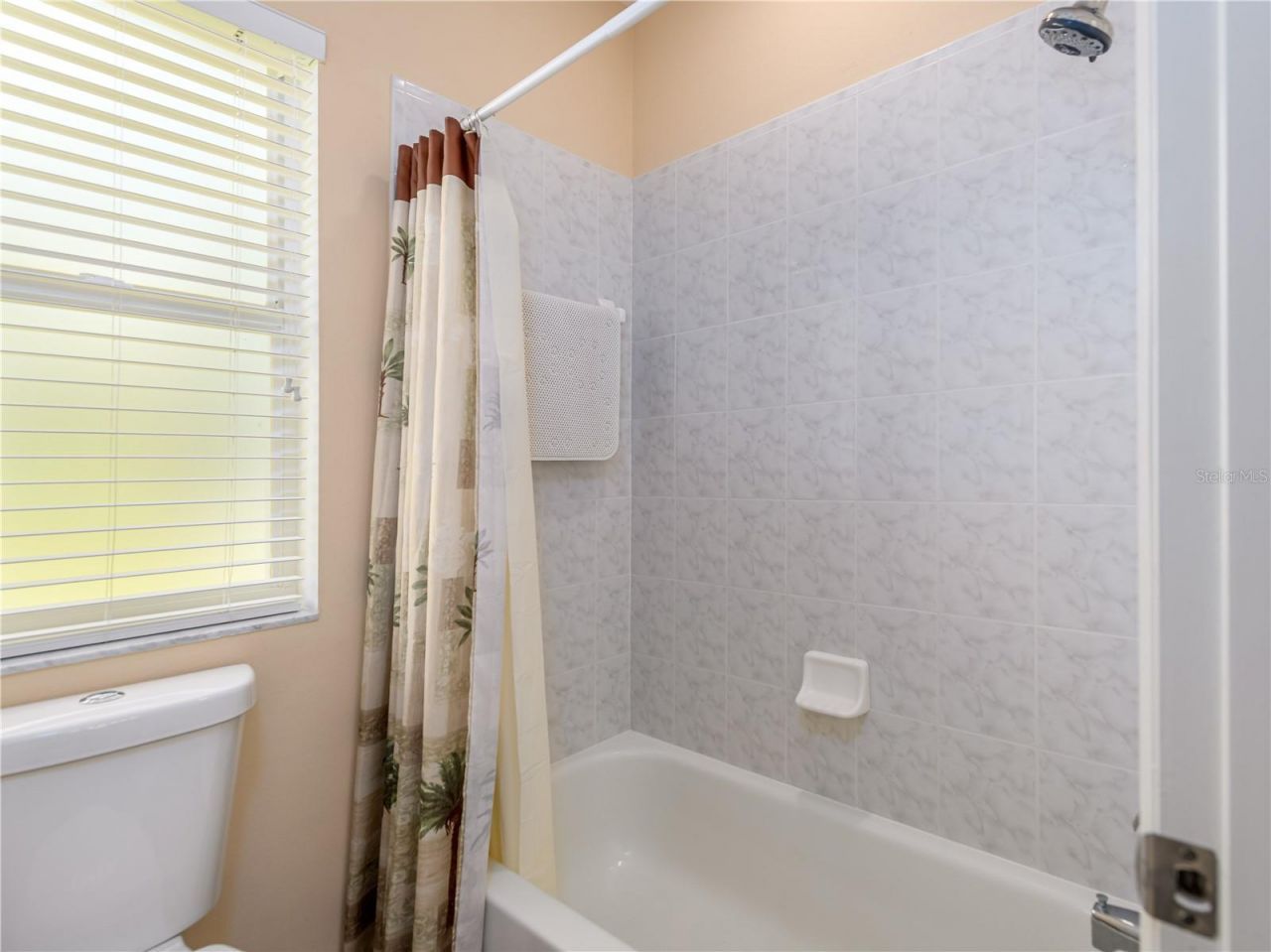 17890 Arbor Greene Drive, Tampa, FL 33647 Photo