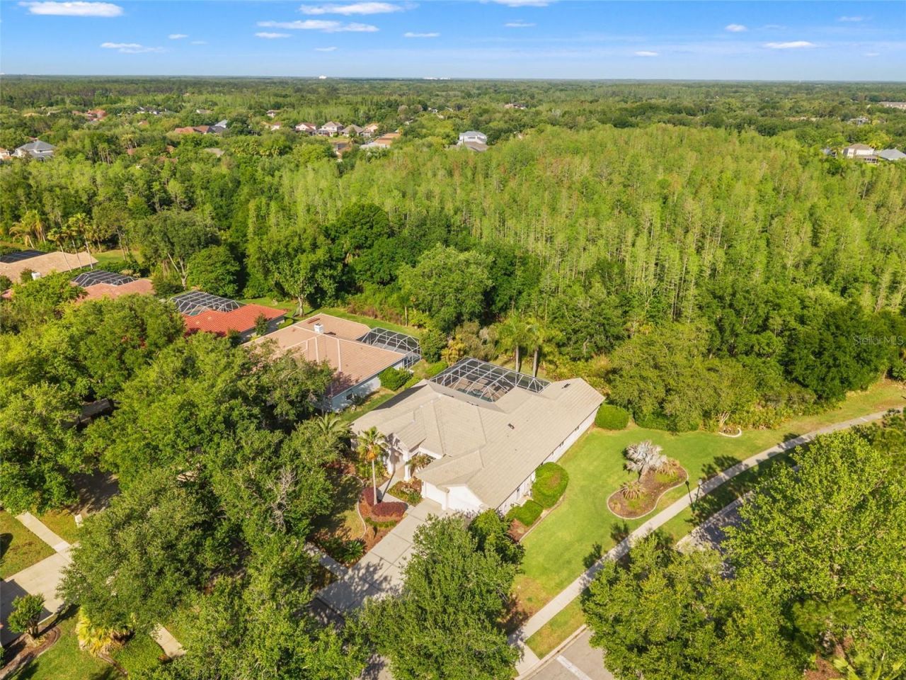 17890 Arbor Greene Drive, Tampa, FL 33647 Photo