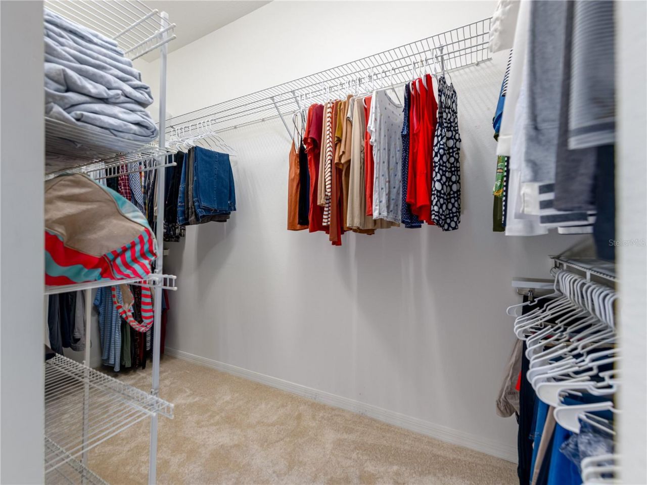 17890 Arbor Greene Drive, Tampa, FL 33647 Photo