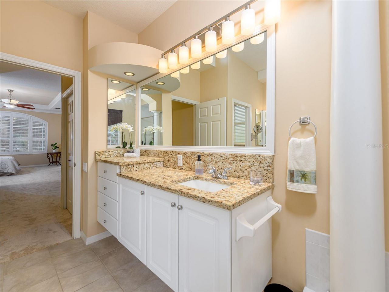 17890 Arbor Greene Drive, Tampa, FL 33647 Photo