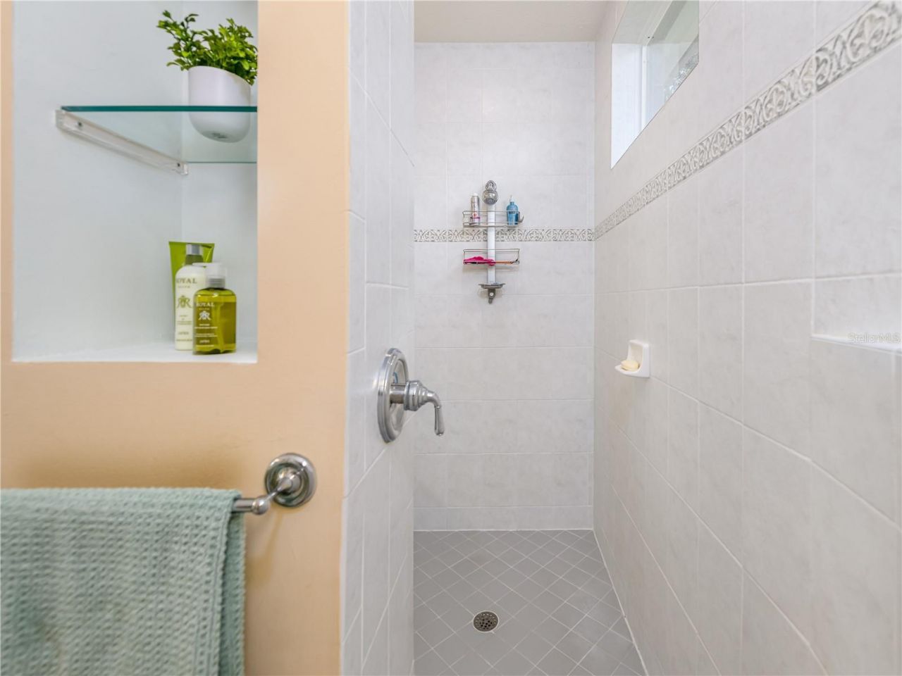 17890 Arbor Greene Drive, Tampa, FL 33647 Photo