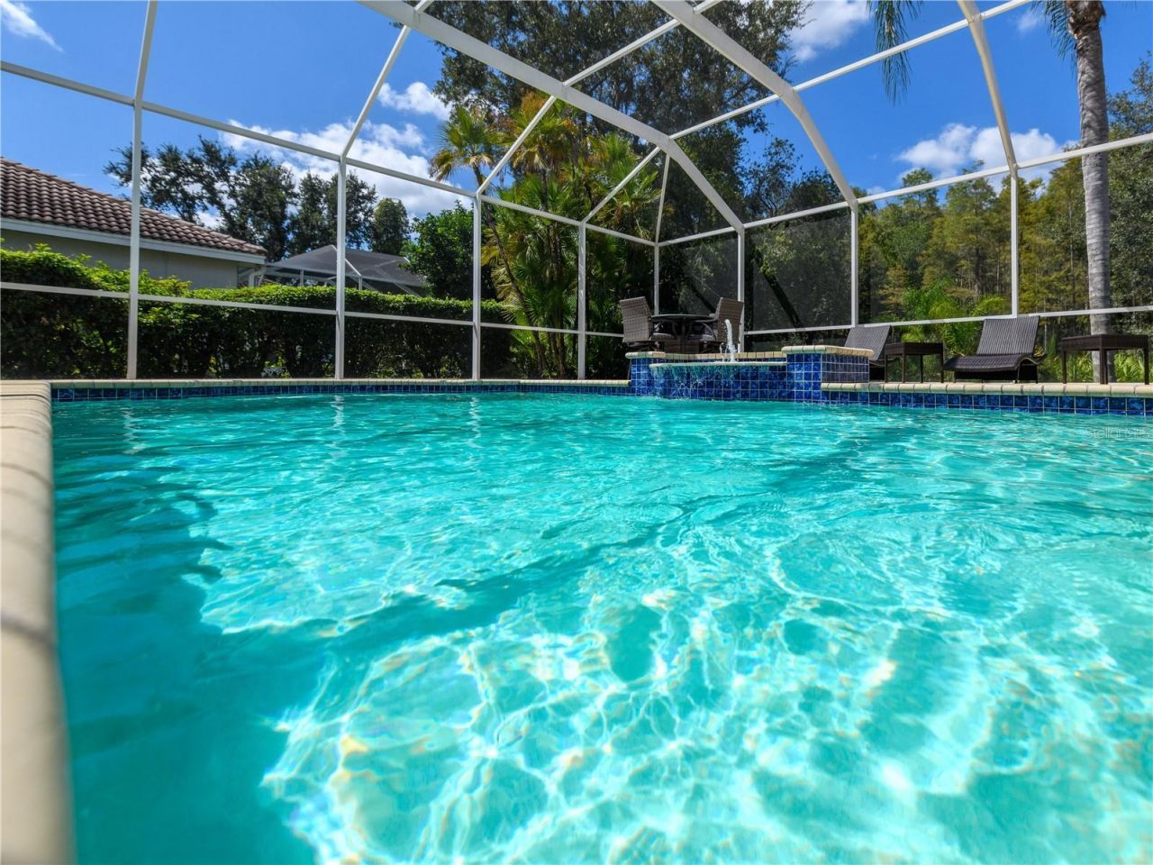 17890 Arbor Greene Drive, Tampa, FL 33647 Photo