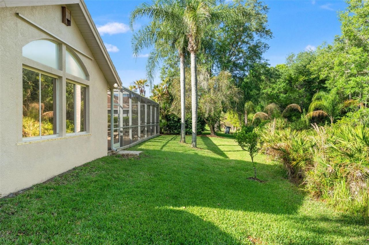 17890 Arbor Greene Drive, Tampa, FL 33647 Photo