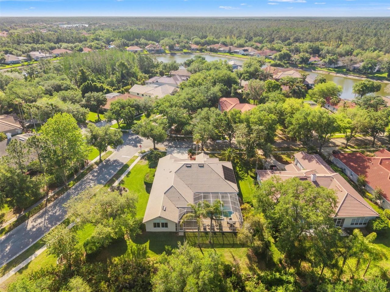 17890 Arbor Greene Drive, Tampa, FL 33647 Photo
