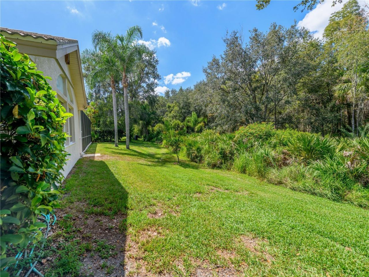 17890 Arbor Greene Drive, Tampa, FL 33647 Photo