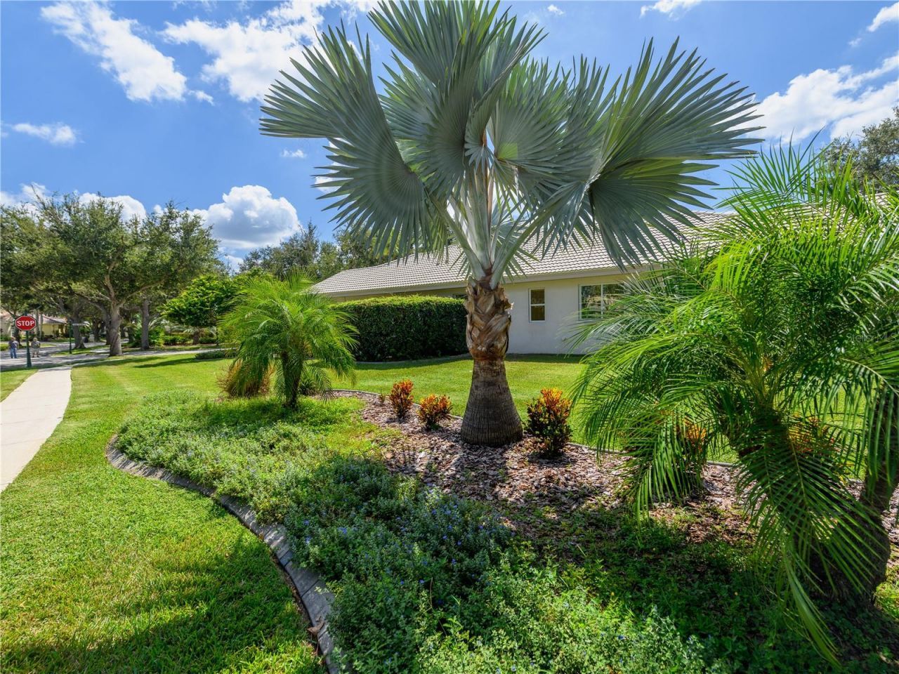 17890 Arbor Greene Drive, Tampa, FL 33647 Photo