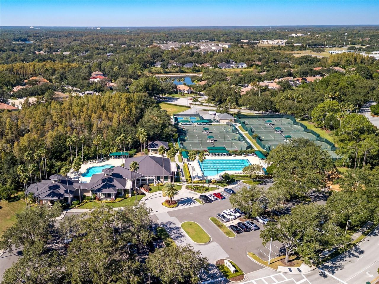 17890 Arbor Greene Drive, Tampa, FL 33647 Photo