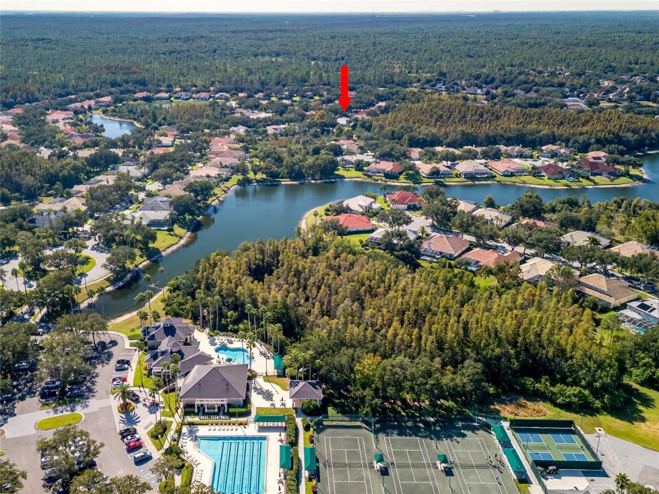 17890 Arbor Greene Drive, Tampa, FL 33647 Photo