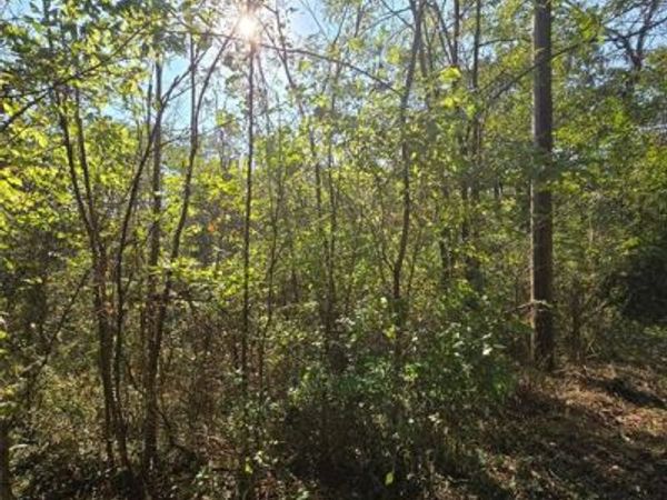 570 Sycamore Street, Newburg, MO 65550