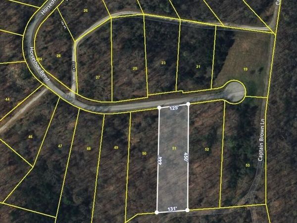 Lot 51 Horseshoe Bnd, Speedwell, TN 37870
