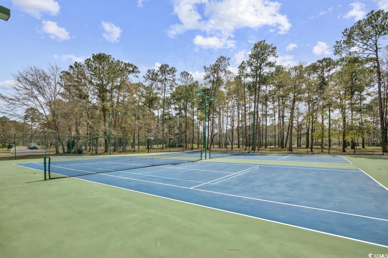 9 Pistachio Loop Photo 35