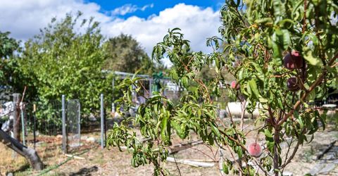 4000 Bobolink Circle, Reno, NV 89508 Photo