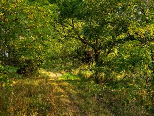 0 Hadley Road, Lapeer, MI 48446