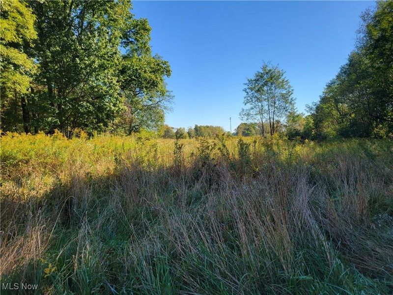 6944 State Route 14, Ravenna, OH 44266 Photo 2