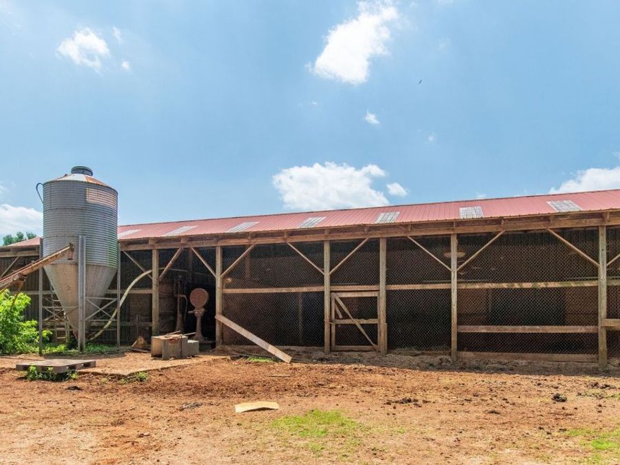 Property Image 9