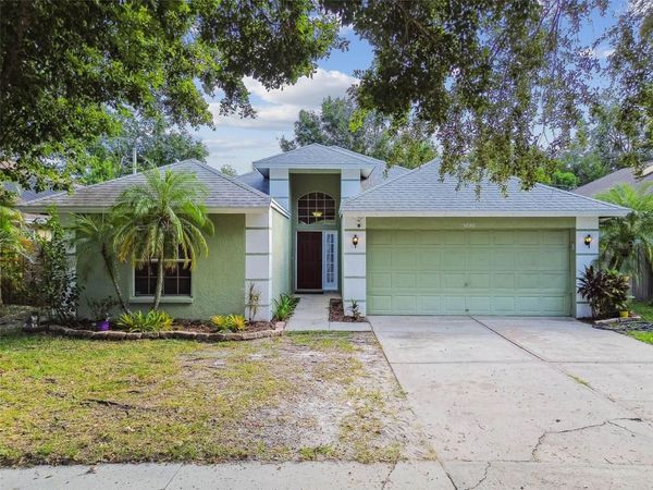 5646 PADDOCK TRAIL DRIVE, TAMPA, FL 33624