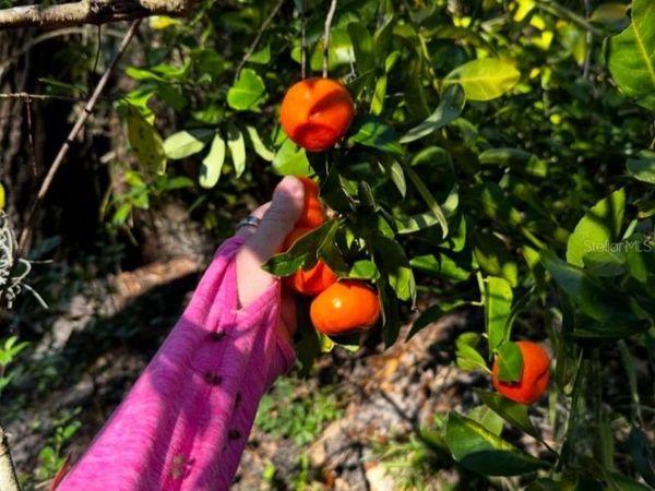 5011 249TH ST STREET E, MYAKKA CITY, FL 34251