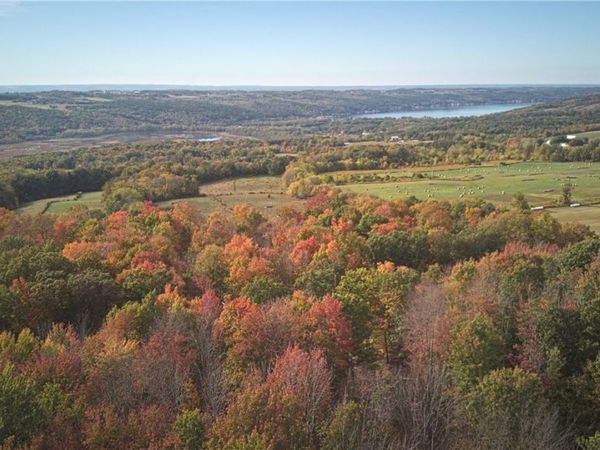 6571 Stagecoach Road, Conesus, NY 14435