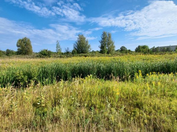 V/L 55-+AC E State Street, Cheboygan, MI 49721