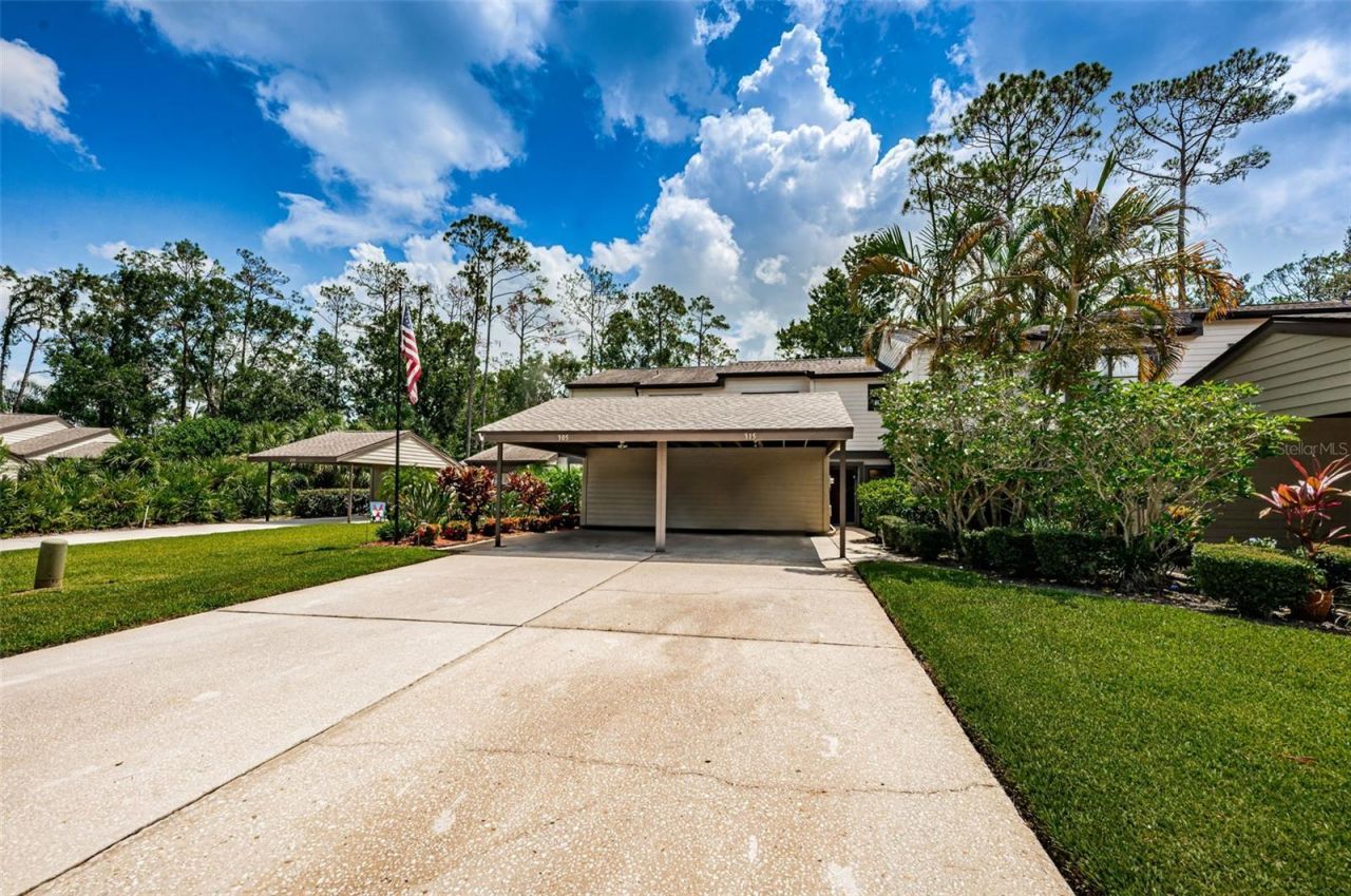 315 Woods Landing Trail, Oldsmar, FL 34677 Main Photo