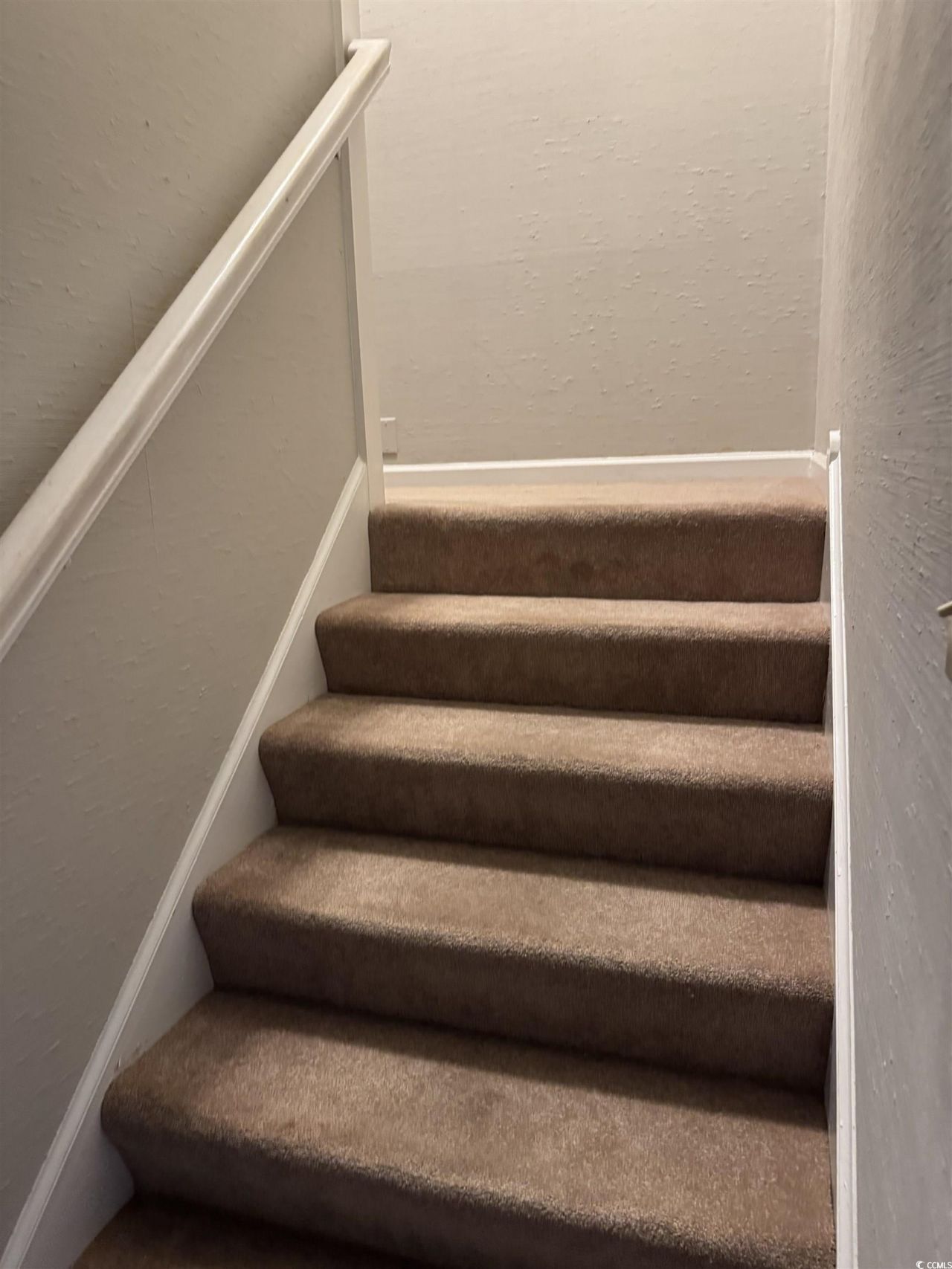 4840 Moss Creek Loop Photo 12