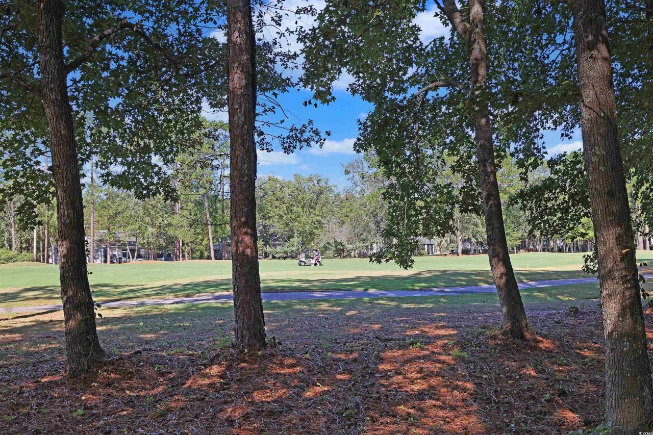 922 Bear Lake Dr. Photo 11