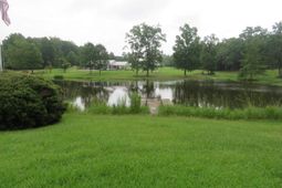 228 Shady Springs Road photo 4