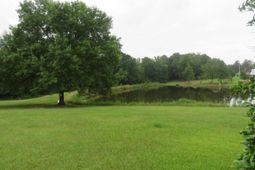 228 Shady Springs Road photo 4