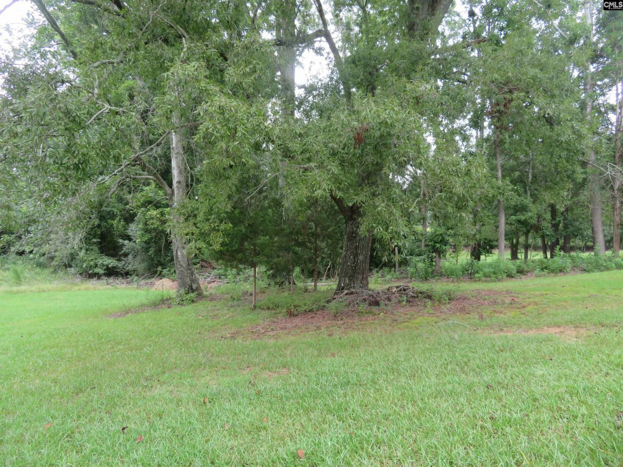 228 Shady Springs Road Photo 6