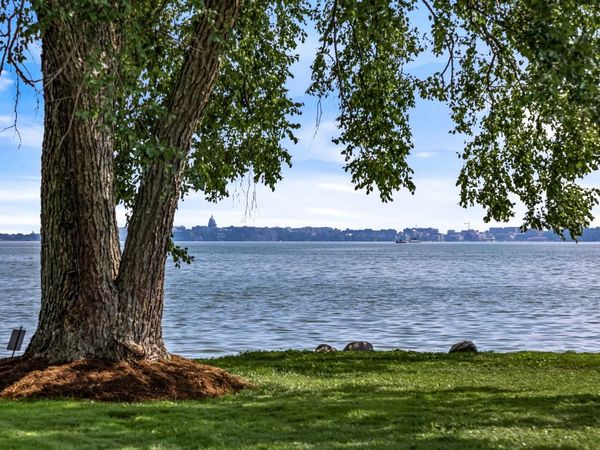 Lot 10 Reynolds Avenue, Waunakee, WI 53597