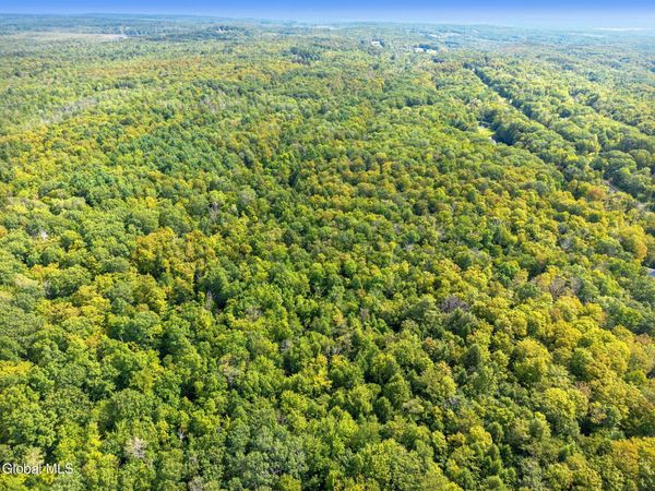 L100 Skyline Drive, Duanesburg, NY 12053