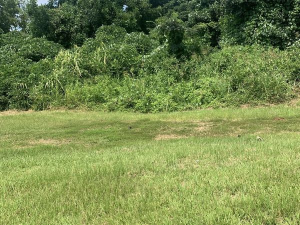 119 N Aycock Street, Carrollton, GA 30117