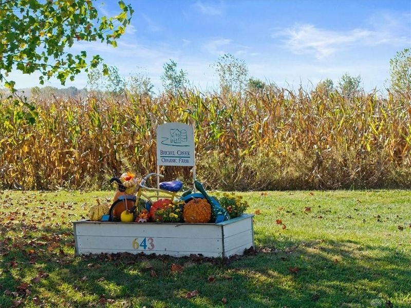 643 Brickel Road, Ross Township, OH 45335 Photo 5