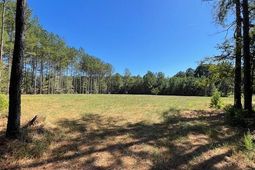 6 Grooms Road photo 4