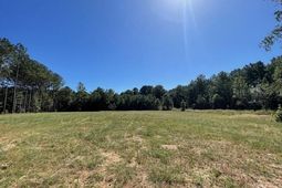 6 Grooms Road photo 4