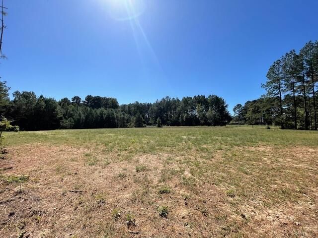 6 Grooms Road Photo 6